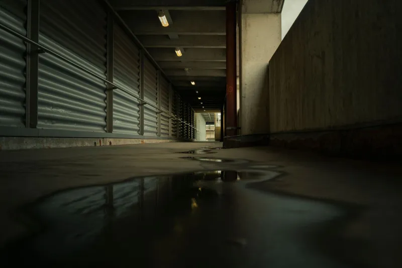 When the Glass Stops Obeying: The Unsettling Reports of Reflections That Lag Behind